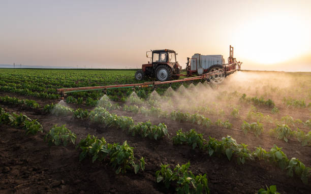 Best Pest Control Treatment  in Blanding, UT