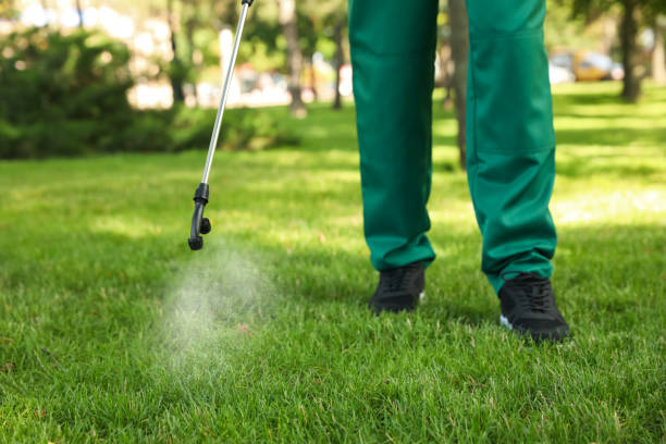 Best Residential Pest Control  in Blanding, UT