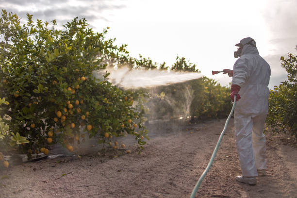 Best Pest Inspection Near Me  in Blanding, UT