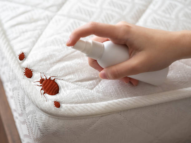 Pest Control Cost in Blanding, UT