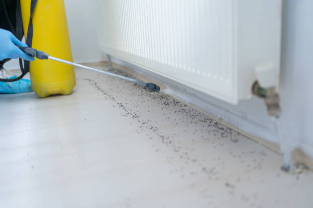 Best Affordable Pest Control Services  in Blanding, UT